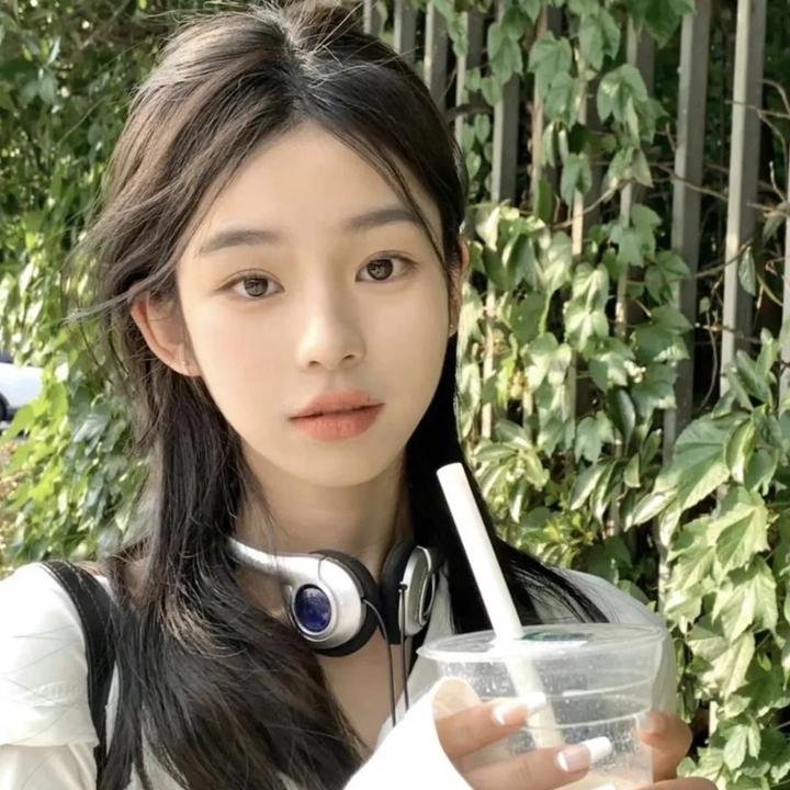 托梅斯的导盲犬